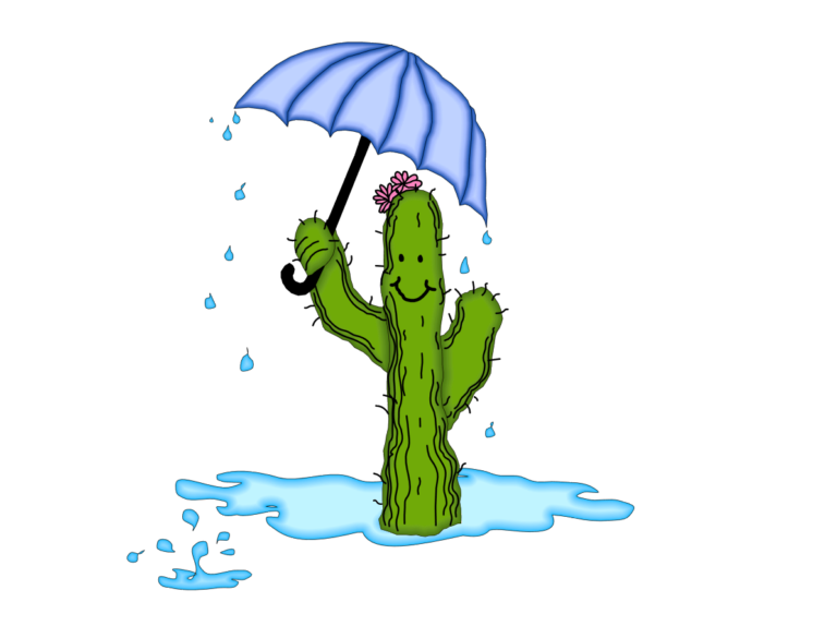 Tucson rainfall year to date arizona lapidary gem rough inc