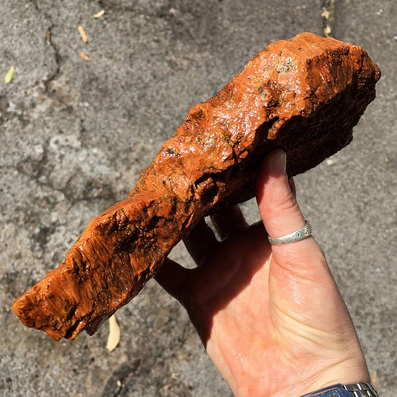 Flash Jasper (