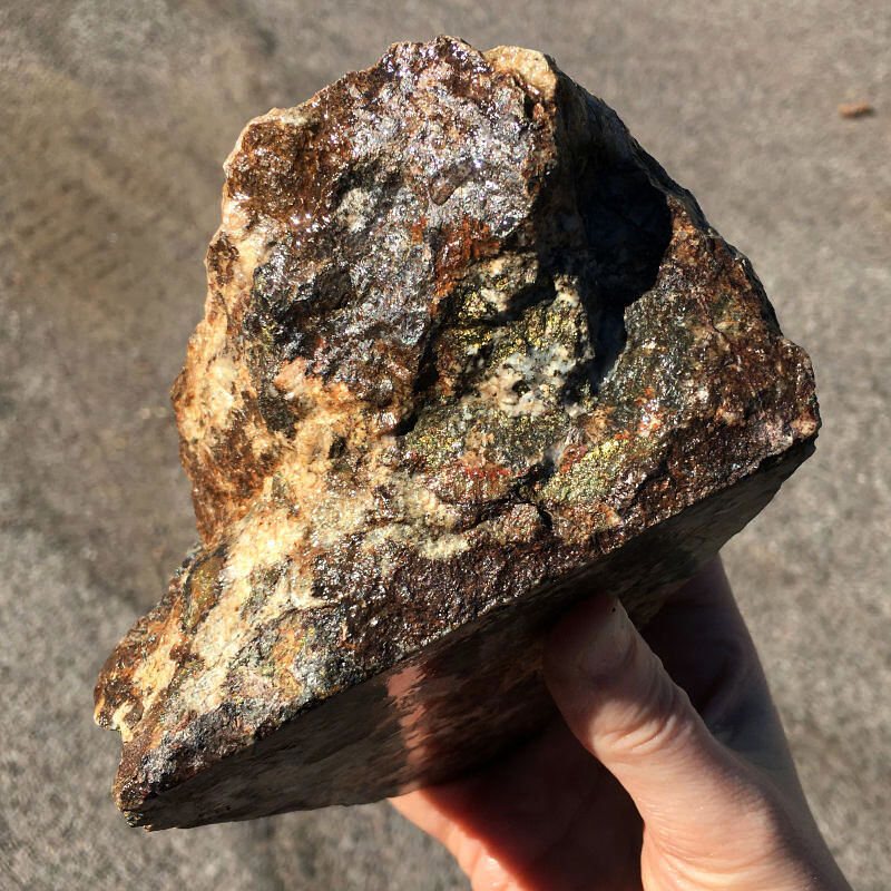Breccia de Oro 3.44 lbs - Arizona Lapidary & Gem Rough, Inc