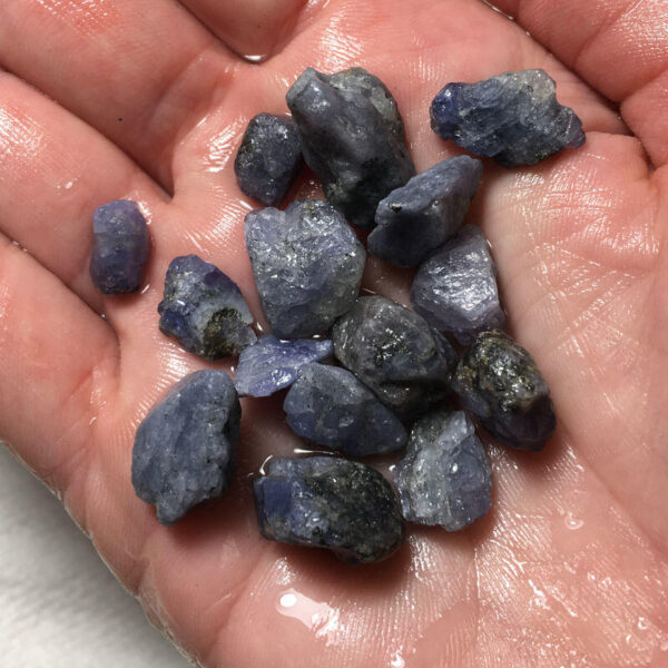Tanzanite (20 grams)